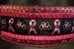 breast cancer paws